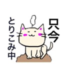 猫との生活。ほんわか。日常スタンプ（個別スタンプ：16）