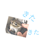 むぎぐらし ねぐずりむぎ（個別スタンプ：2）