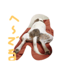アスティからどんちゃんまで（個別スタンプ：3）