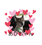 アスティからどんちゃんまで（個別スタンプ：4）