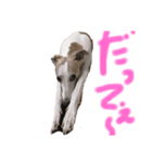 アスティからどんちゃんまで（個別スタンプ：8）
