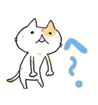 「きまぐれにゃんこの日常」その3（個別スタンプ：19）
