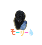 黒プーの豆太 2（個別スタンプ：3）