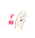日本猫スタンプ（個別スタンプ：3）