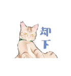 日本猫スタンプ（個別スタンプ：4）