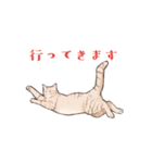 日本猫スタンプ（個別スタンプ：6）