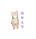 日本猫スタンプ（個別スタンプ：8）