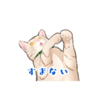 日本猫スタンプ（個別スタンプ：12）