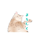 日本猫スタンプ（個別スタンプ：14）