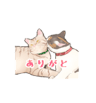日本猫スタンプ（個別スタンプ：15）