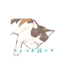 日本猫スタンプ（個別スタンプ：17）
