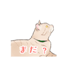 日本猫スタンプ（個別スタンプ：18）