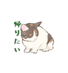 日本猫スタンプ（個別スタンプ：23）