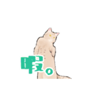 日本猫スタンプ（個別スタンプ：24）