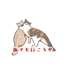 日本猫スタンプ（個別スタンプ：25）