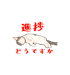 日本猫スタンプ（個別スタンプ：26）
