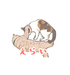 日本猫スタンプ（個別スタンプ：35）
