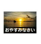 こころ休まる花と風景(4)（個別スタンプ：6）