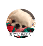 むこティンビーバー（個別スタンプ：5）