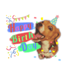 Beagle Ben の ほのぼのスタンプ（個別スタンプ：6）