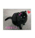 可愛い野良猫ちゃん（個別スタンプ：2）