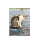 安倍川にゃんずの日々（個別スタンプ：2）