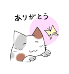 もよねこ（個別スタンプ：3）