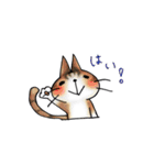 しふぉんのネコ好きのスタンプ2（敬語）（個別スタンプ：14）