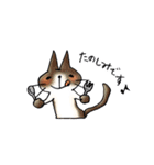 しふぉんのネコ好きのスタンプ2（敬語）（個別スタンプ：22）