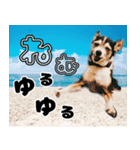 リオ君のひとりごと VOL 1（個別スタンプ：1）