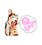 リオ君のひとりごと VOL 1（個別スタンプ：2）