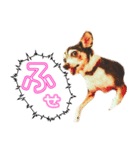 リオ君のひとりごと VOL 1（個別スタンプ：3）