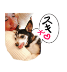 リオ君のひとりごと VOL 1（個別スタンプ：7）