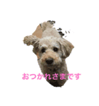 ゆずちゃんルーム（個別スタンプ：1）