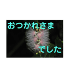 こころ休まる花と風景(5)（個別スタンプ：3）