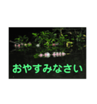 こころ休まる花と風景(5)（個別スタンプ：4）