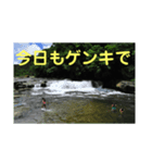 こころ休まる花と風景(5)（個別スタンプ：8）