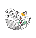 三毛猫ミッチの日常スタンプ☆アニメ版（個別スタンプ：1）