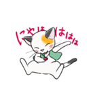 三毛猫ミッチの日常スタンプ☆アニメ版（個別スタンプ：5）