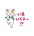 三毛猫ミッチの日常スタンプ☆アニメ版（個別スタンプ：8）