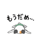 三毛猫ミッチの日常スタンプ☆アニメ版（個別スタンプ：13）