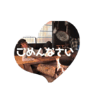 とんきちスタンプ第4弾（個別スタンプ：5）