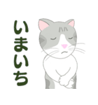 Kitten LATTE II （日本語)（個別スタンプ：5）