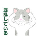 Kitten LATTE II （日本語)（個別スタンプ：12）