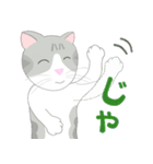 Kitten LATTE II （日本語)（個別スタンプ：14）