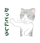 Kitten LATTE II （日本語)（個別スタンプ：15）