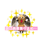 サムナツくんスタンプ［公式］（個別スタンプ：31）