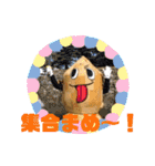 サムナツくんスタンプ［公式］（個別スタンプ：39）