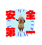 サムナツくんスタンプ［公式］（個別スタンプ：40）