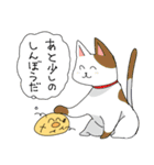 無個性ひよこくん（個別スタンプ：34）